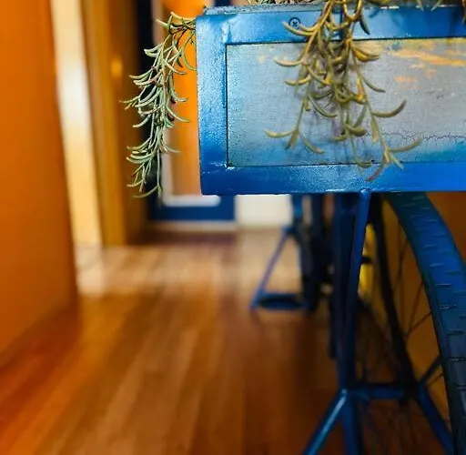 Centro-ist-nicht-mehr-weit * Oberhausen (North Rhine-Westphalia)